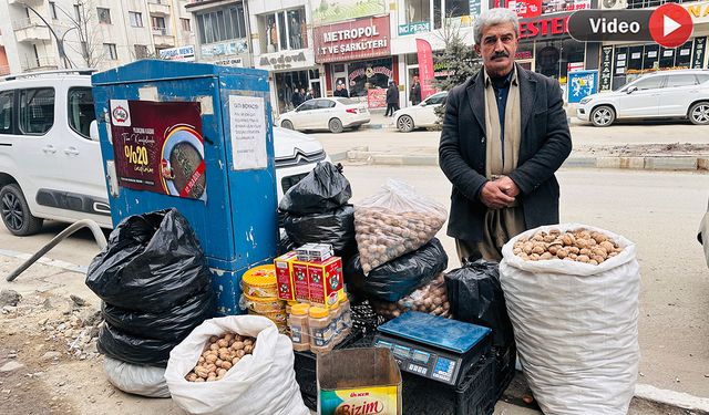 Yüksekova’da yerli cevizin fiyatı belli oldu