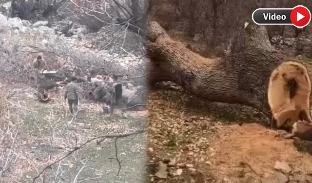 Bartın’dan Derecik’teki doğa tahribatına tepki