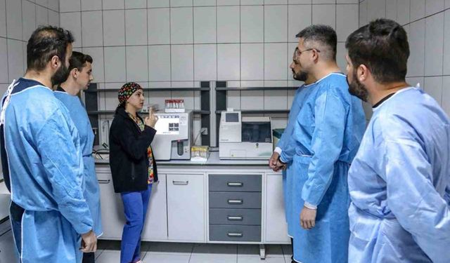 Üniversite öğrencileri hayvan bakım evinde uygulamalı eğitim alıyor