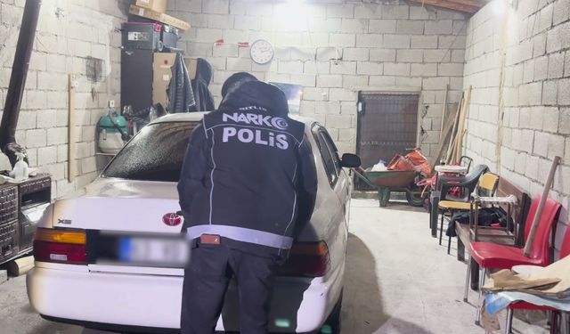 Bitlis’te köpeklerin altına gizlenmiş uyuşturucu madde ele geçirildi