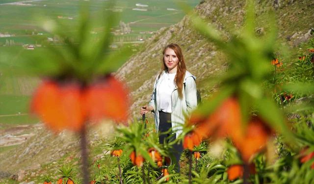 Ters laleler için 3 saat yürüdüler