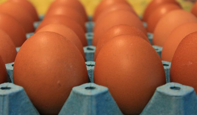 Yumurta fiyatları "mayıs çukuru" yaklaşınca düşüşe geçti