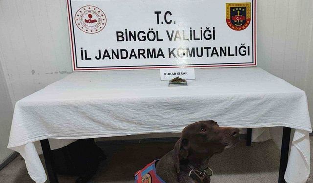 Bingöl’de uyuşturucu madde ve tüfek ele geçirildi