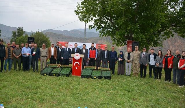 Hakkari'de üreticiye fide desteği