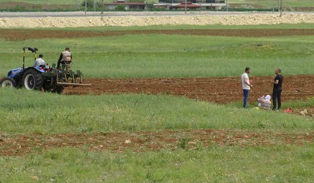 Gercüş’te çiftçiler karpuz ve kavun tohumlarını ekmeye başladı