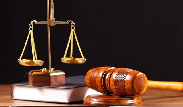 ÇUKURCA ASLİYE CEZA MAHKEMESİ- DAVA DOSYASI