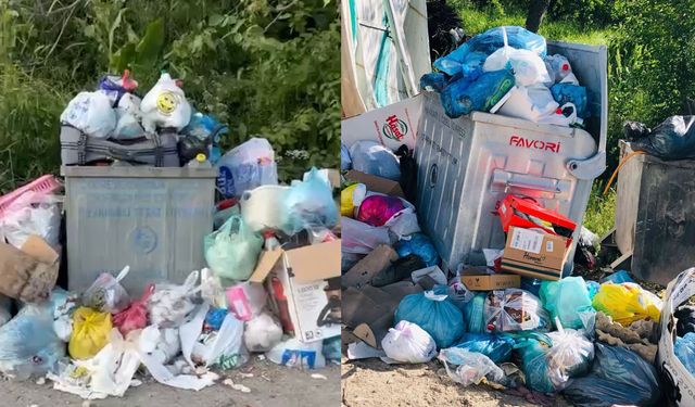 Şemdinli'nin Altınsu Köyünde Çöp Sorunu : Vatandaşlardan Tepki