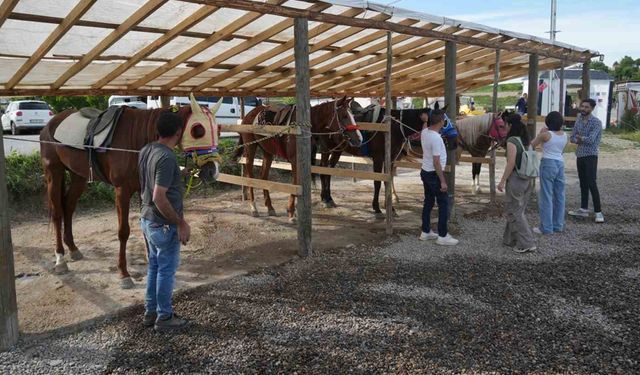 Muş’ta atlı binicilik kulübü, ata sporunu gelecek nesillere aktarıyor