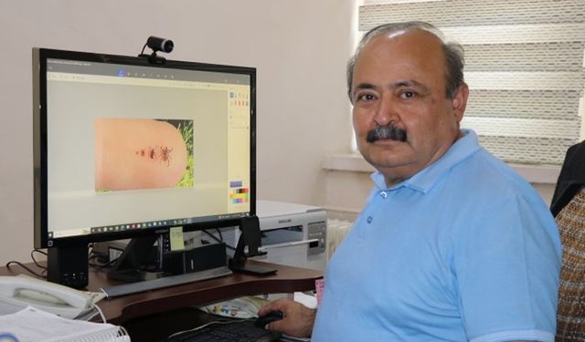 Sıcak hava keneleri harekete geçirdi: 1 kene, 10 bine yakın yumurta bırakabiliyor