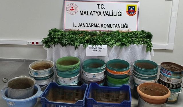 Malatya’da jandarmadan uyuşturucu operasyonu: 6 gözaltı