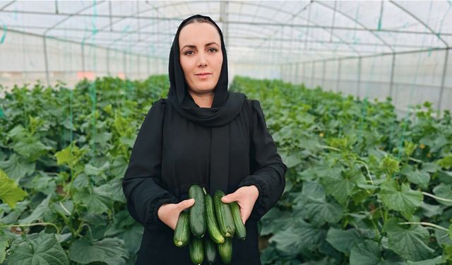 Irak’tan Yüksekova’ya uzanan başarı öyküsü