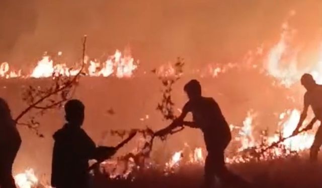 Hakkari-Van il sınırı arasında çıkan yangın korkuttu
