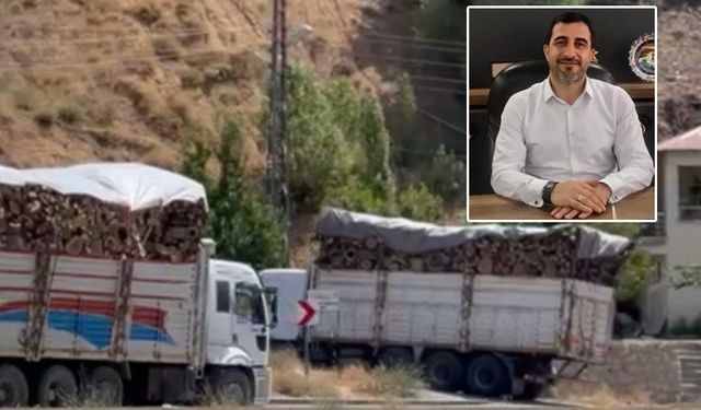 Başkan Tekin’den Orman Kıyımına Tepki