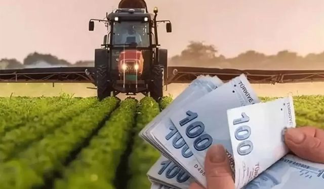 Bakanlıktan tarımda nakit destek: Çiftçiye 826 milyon TL ödeme yapıldı