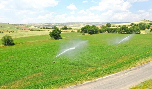 Tunceli’de sulu tarım ile ekonomiye 647 milyon TL katkı sağlanması bekleniyor