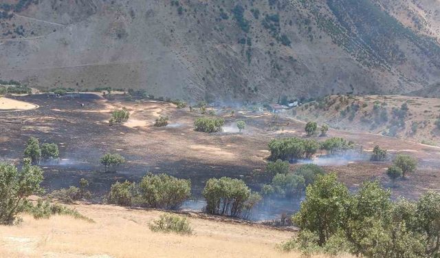 Hakkari’de anız yangını