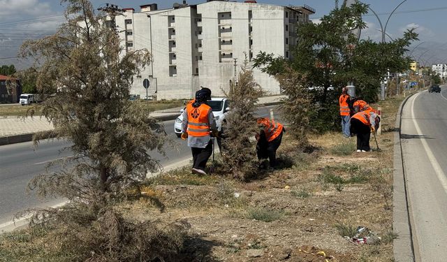 Yüksekova’da Orta Refüjde Temizlik Çalışması