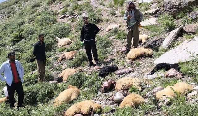 Doski Vadisi’nde Koyun Sürüsü Tepelikten Düştü: Çok Sayıda Hayvan Telef Oldu
