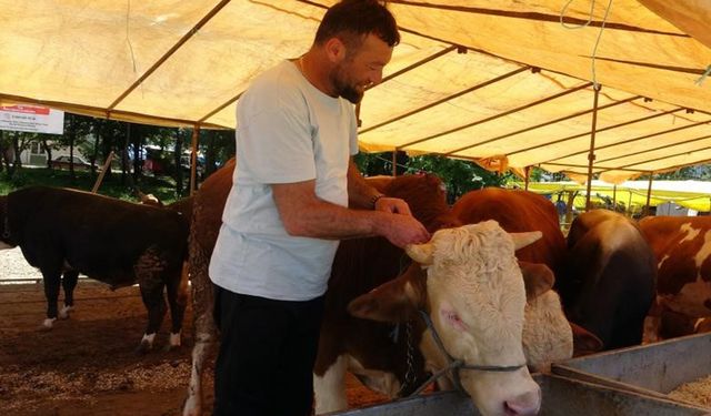 Türkiye genelinde tüm hayvan pazarları kapatıldı