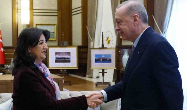 DEM Parti heyeti bugün Erdoğan ile görüşecek