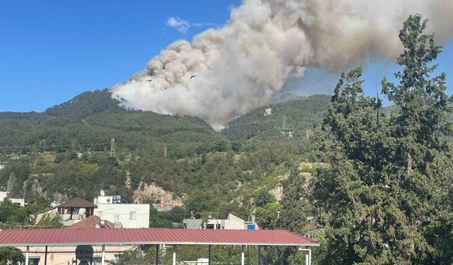 Hatay'da yangın: 9 yaylada bin 870 kişi tahliye edildi