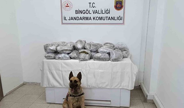 Bingöl’de 49 kilo esrar ele geçirildi