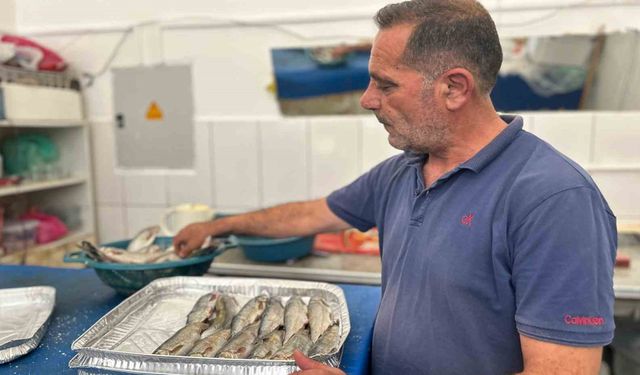 İnci kefali tezgâhlarda yerini aldı