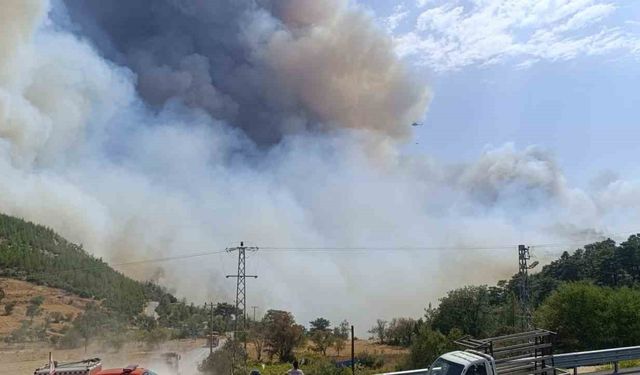 Mersin’deki orman yangınında evler tedbiren boşaltılıyor
