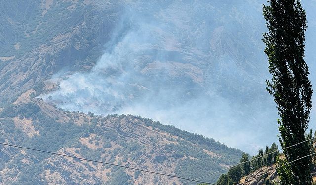 Şırnak’ta orman yangını: Alevler kontrol altına alınamıyor