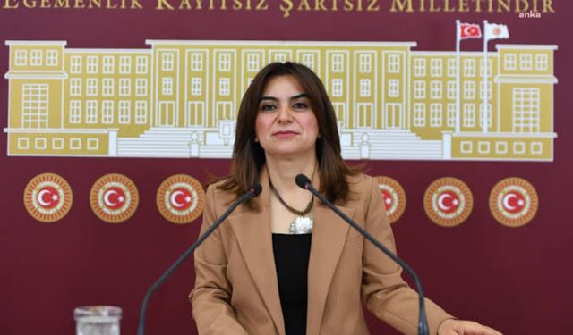 Koçyiğit: “Yüksekova’da Kalp Damar Cerrahisi Olmaması Sağlık Hakkının İhlalidir”
