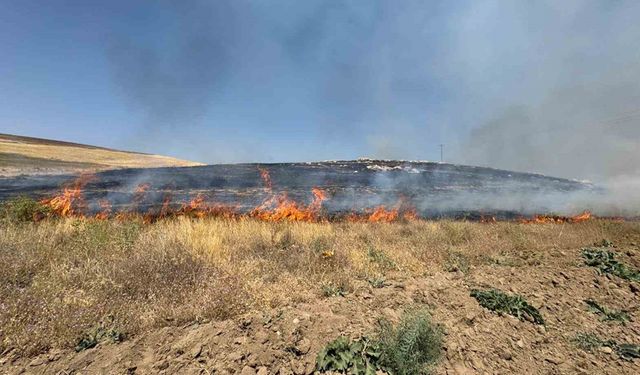 Van’da kuru ot yangını: Yüzlerce dönüm arazi kül oldu