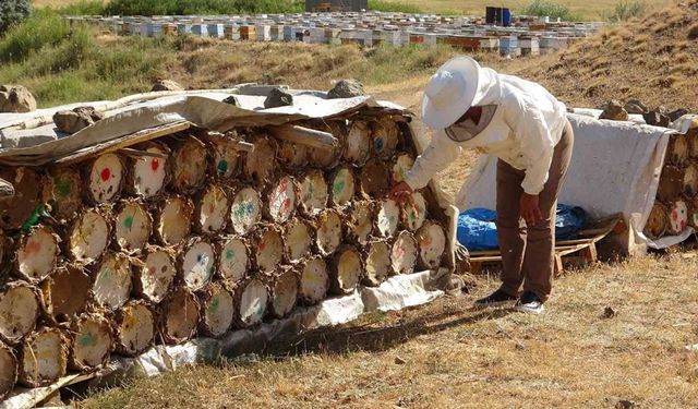 Küresel ısınma arıcıları tedirgin ediyor