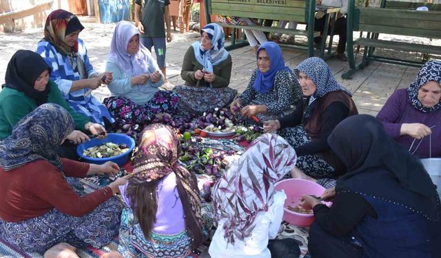 Gaziantep’te kadınların imece usulü kurutmalık telaşı