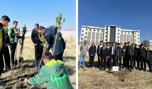Yüksekova Fen lisesinden hatıra ormanı