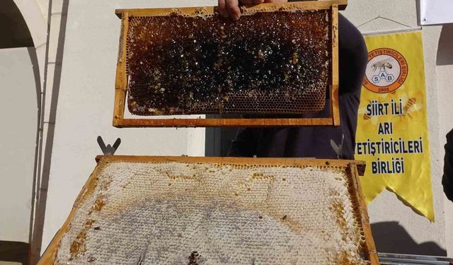 Siirt’te arıcılara 268 milyon 765 bin liralık destek