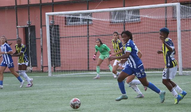 Hakkarigücü, Fenerbahçe'ye 2-0 mağlup oldu