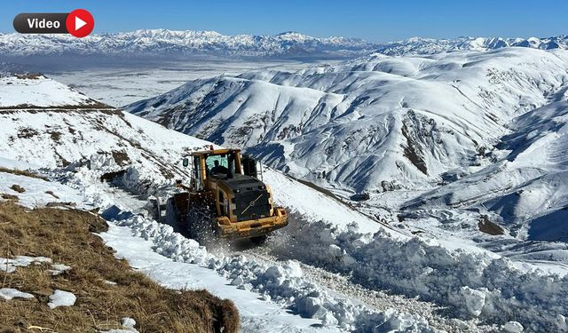 Yüksekova ve Şemdinli'de karla mücadele sürüyor