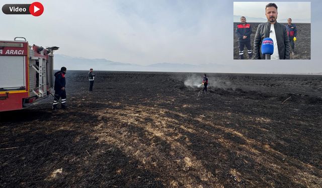 Yüksekova’daki Nehil Sazlığı’nda çıkan yangın kontrol altına alındı