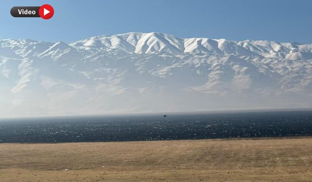 Nehil Sazlığı’nda Alevlerin Ardından Kalan Acı Manzara