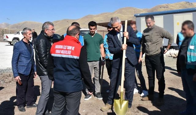 Yüksekova'da doğal yaşam alanı ağaçlandırılıyor