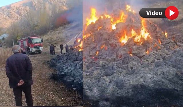 Güldalı köyünde ot yangını: 5 bin bağ ot kül oldu
