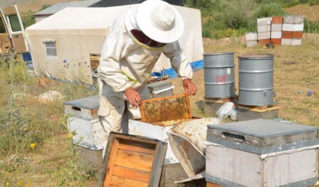 Yüksekova İlçe Tarım Müdürlüğü’nden arıcılara destek çağrısı