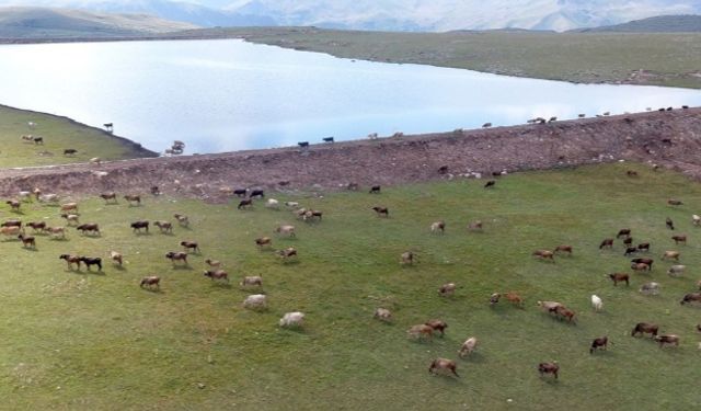 Gölet yapımında Türkiye’ye örnek olan şehir: Erzurum