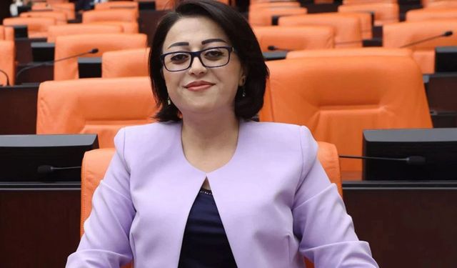 Yüksekova’daki enerji ve doğalgaz sorunları meclis gündeminde