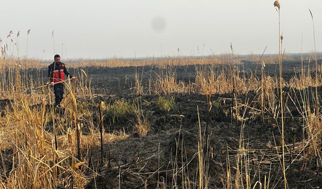Nehil Sazlığı’ndaki yangın 4’üncü gününde de sürüyor