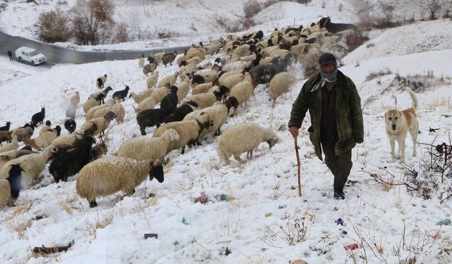 Hakkari'de Kar Yağışı Çobanları Hazırlıksız Yakaladı