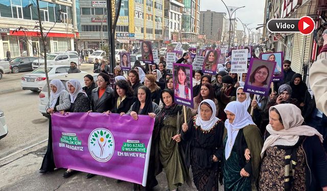 Yüksekova’da DEM Parti’den 25 Kasım Yürüyüşü