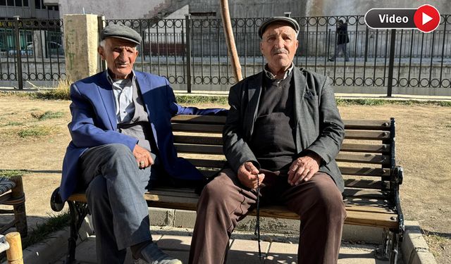 Yüksekovalı Çınarlar Geçmiş Günlerini Yâd Ediyor