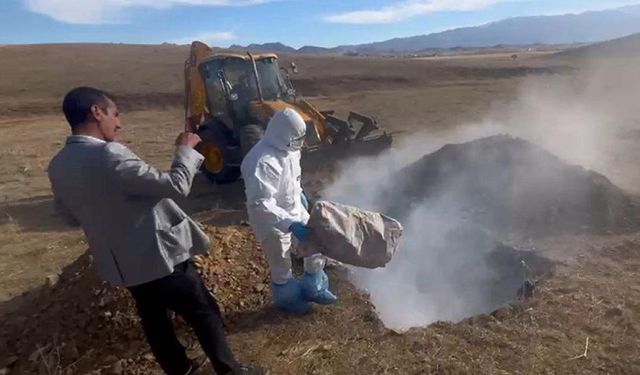 İlçe Tarım ve Orman Müdürlüğü'nden Kuş Gribi Uyarısı