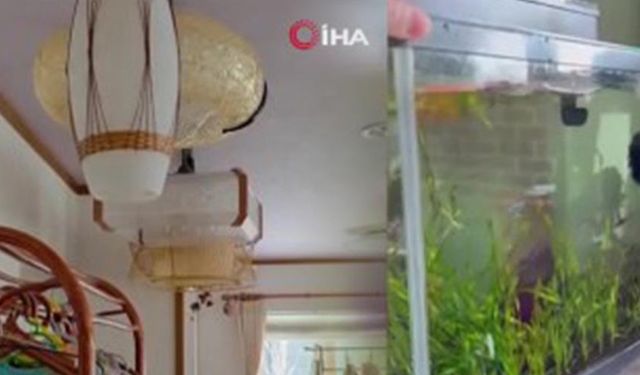 Japonya’da 6.7 büyüklüğünde deprem meydana geldi, tsunami uyarısı yapıldı